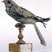 Egyptian Nightjar